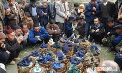 贵州鸟友俱乐部,鸟友之家贵州