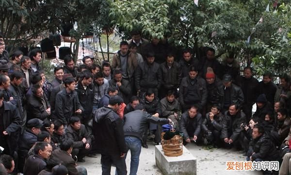 贵州鸟友俱乐部,鸟友之家贵州