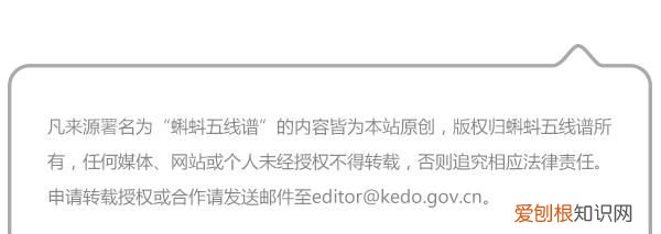 关于抓知了的事儿