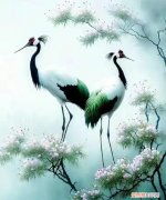 仙鹤的寓意益寿延年