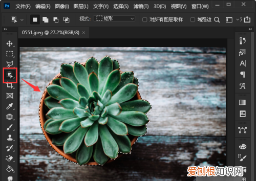 ps如何抠图不要背景,ps怎么把图抠出来不要背景