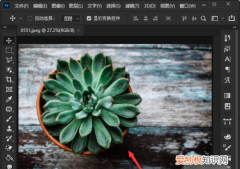 ps如何抠图不要背景，ps怎么把图抠出来不要背景