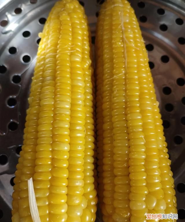 东北的粘苞米贼啦啦好吃,你吃过吗