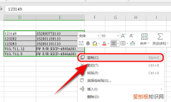 wps怎么复制表格，wps怎么复制excel表格到另一个表格