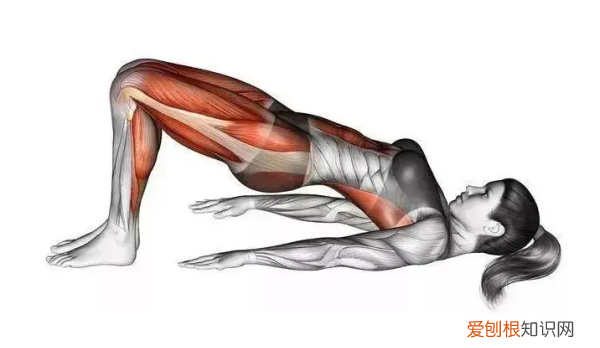 桥式运动的训练方法，桥式运动的作用包括哪些