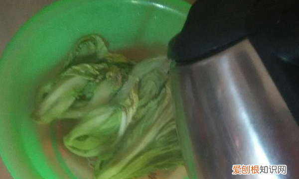 开水烫菜怎么做成酸菜,用开水烫过的萝卜菜怎么保存