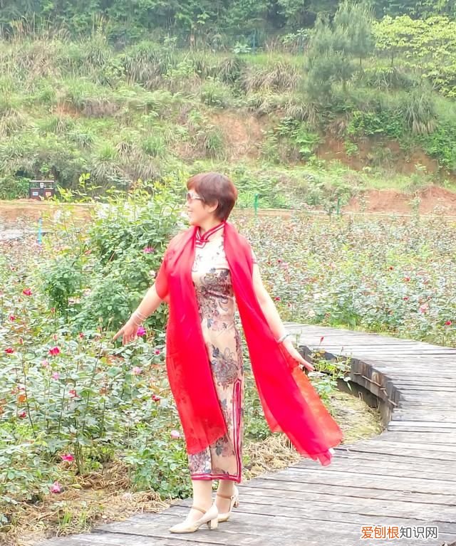 当你的御用摄影师 我是你的专属摄影师