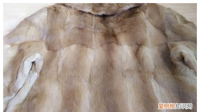 黄鼠狼浑身都是宝,但是为什么没有人养殖?