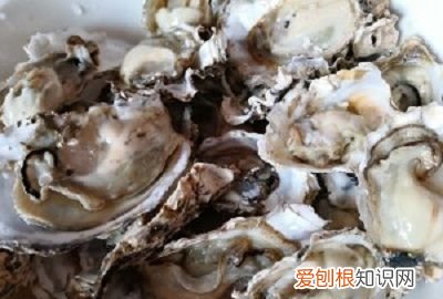 蒜蓉粉丝生蚝做法教程，正宗生蚝粉丝蒜蓉蒸几分钟