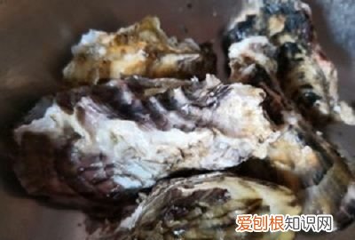 蒜蓉粉丝生蚝做法教程，正宗生蚝粉丝蒜蓉蒸几分钟