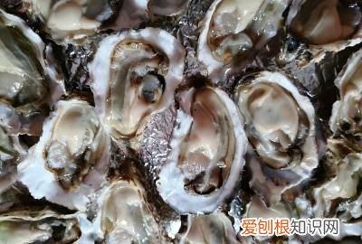 蒜蓉粉丝生蚝做法教程，正宗生蚝粉丝蒜蓉蒸几分钟