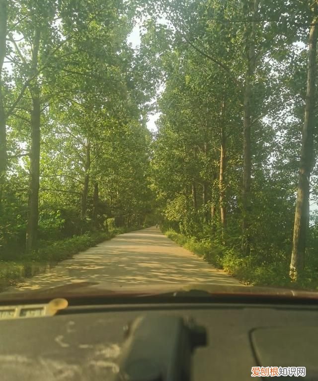 临沂临沭朱村 临沂临沭朱村