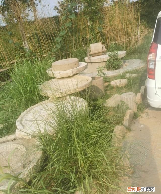 临沂临沭朱村 临沂临沭朱村