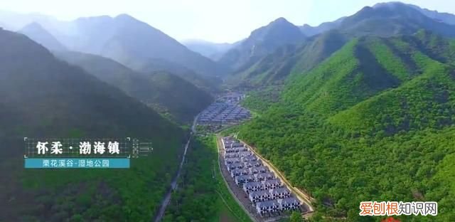 秋天应该是糖炒栗子的味道 北京好吃的糖炒栗子