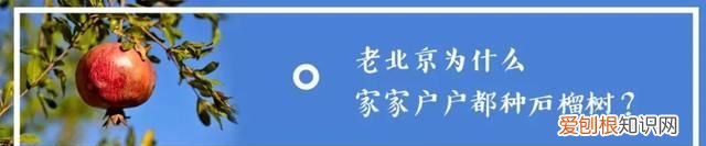 秋天应该是糖炒栗子的味道 北京好吃的糖炒栗子