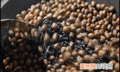 秋天应该是糖炒栗子的味道 北京好吃的糖炒栗子