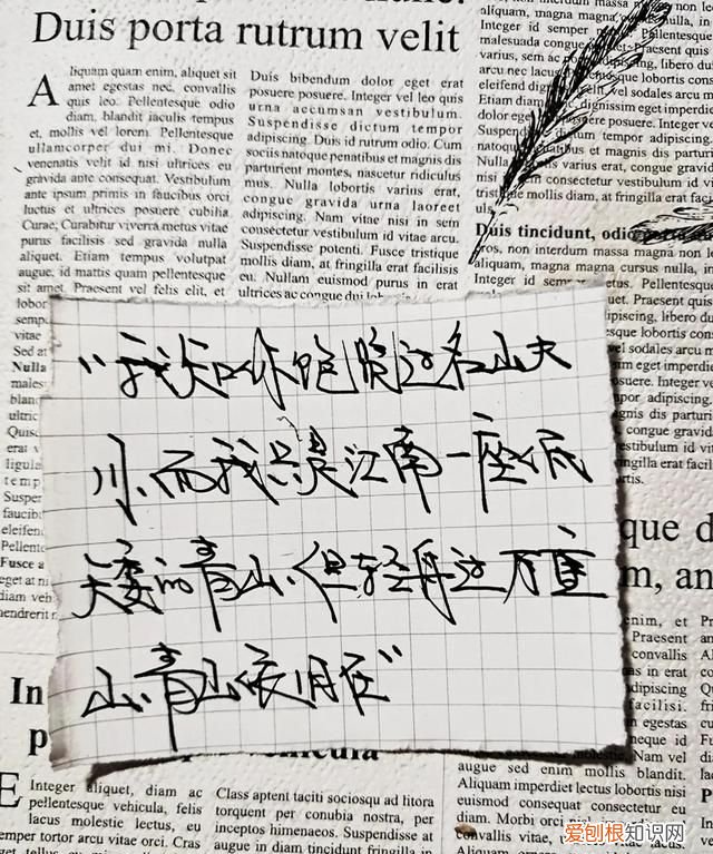 明知不可为而为之是我最大的诚意