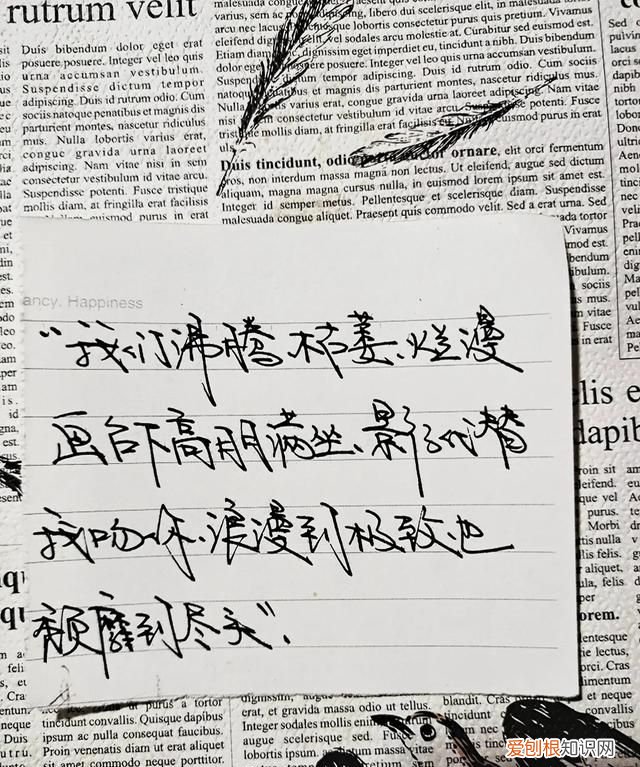 明知不可为而为之是我最大的诚意