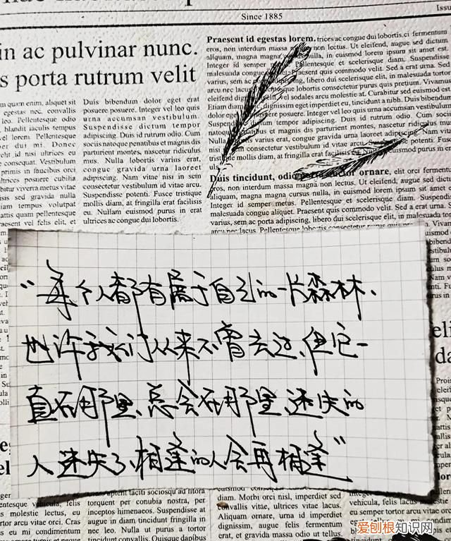 明知不可为而为之是我最大的诚意