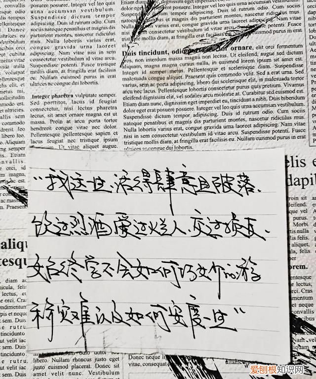 明知不可为而为之是我最大的诚意