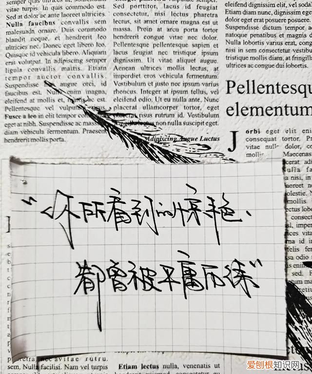 明知不可为而为之是我最大的诚意