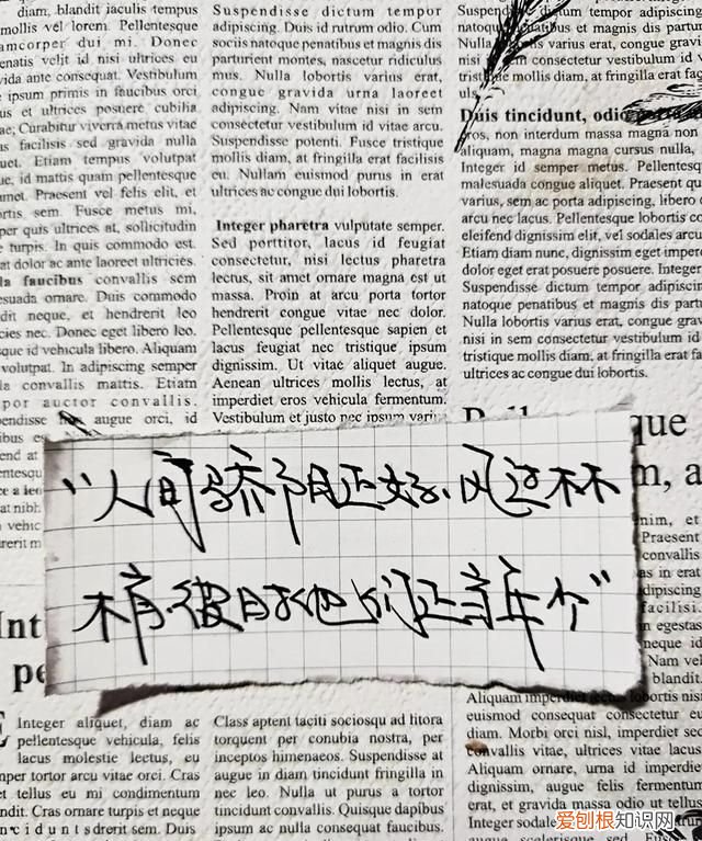 明知不可为而为之是我最大的诚意