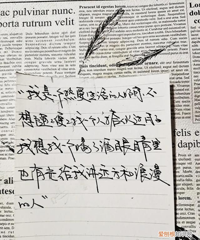 明知不可为而为之是我最大的诚意