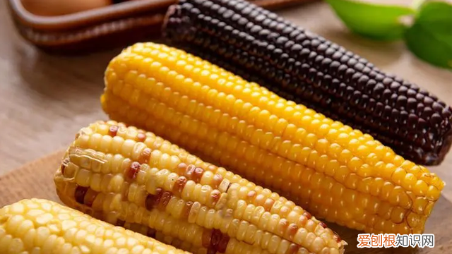 玉米怎么保存新鲜可以直接冷冻吗