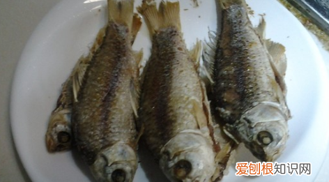 小鱼汤的做法,延边小鱼汤的做法大全