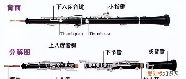 金属制的萨克斯和长笛为啥能算木管乐器呢
