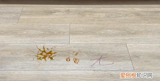 石头每年新品,石头扫拖一体哪个型号性价比高