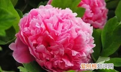 山东威海为什么是鲁k,威海为什么是鲁k