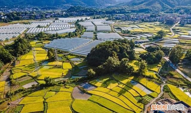 江西发展最快的城市有哪些