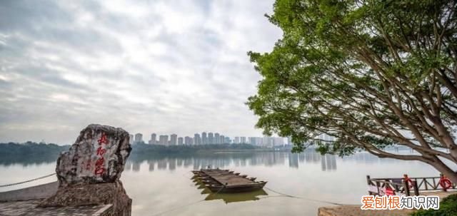 江西发展最快的城市有哪些