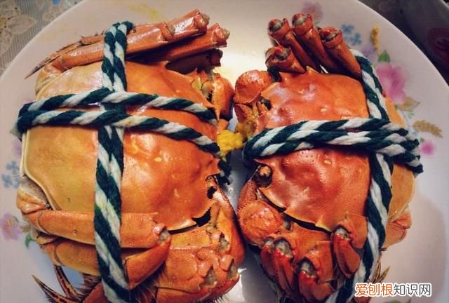 又到食蟹季,营养科医生提醒:美味的螃蟹这些人可不能吃