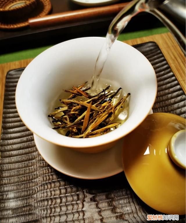 古树金针茶夏天能喝吗,古树金针是绿茶还是红茶