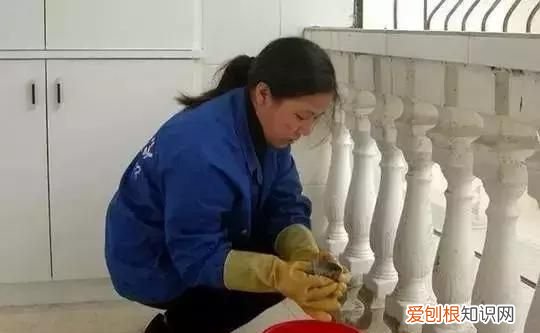 柳州春节天气情况怎么样2021