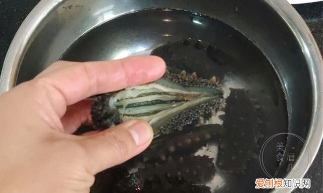 半干海参泡发的正确方法和步骤,半干海参泡发正确方法