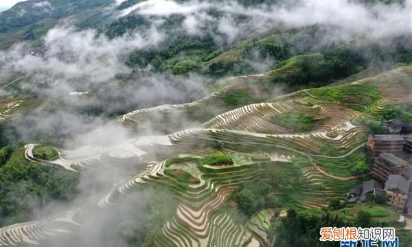 广西龙胜夏日龙脊景色迷人