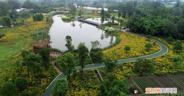 郫都区生态宜居示范区,成都环城生态公园郫都区规划