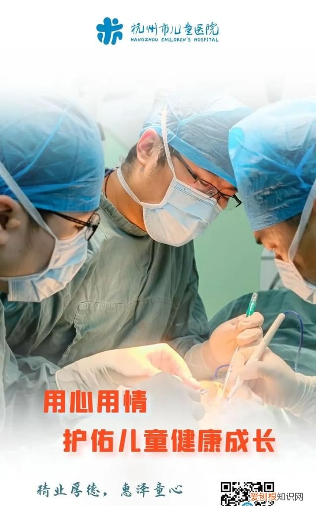 种植灵芝吃了有用吗