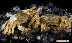 关于螃蟹吐泡泡的事,你应该了解一下什么