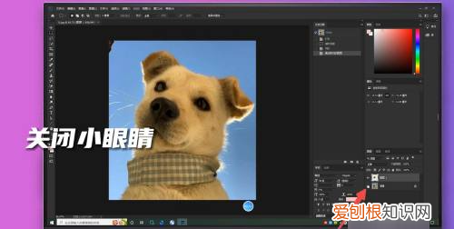 ps怎么羽化边缘,PS边缘怎样才能羽化