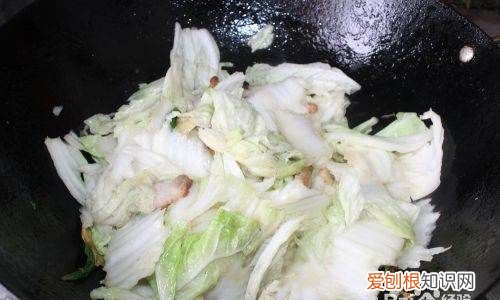 东北猪肉白菜炖粉条的家常做法