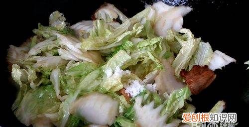 东北猪肉白菜炖粉条的家常做法