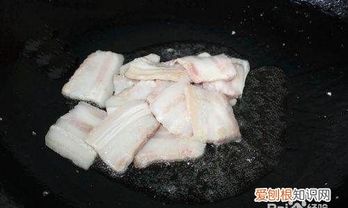 东北猪肉白菜炖粉条的家常做法