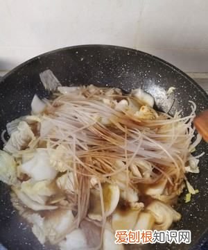 东北猪肉白菜炖粉条的家常做法