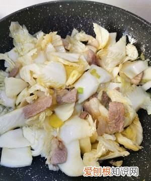 东北猪肉白菜炖粉条的家常做法