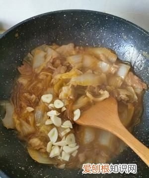 东北猪肉白菜炖粉条的家常做法