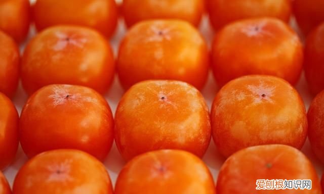 柿子上的白点病你会治吗图片